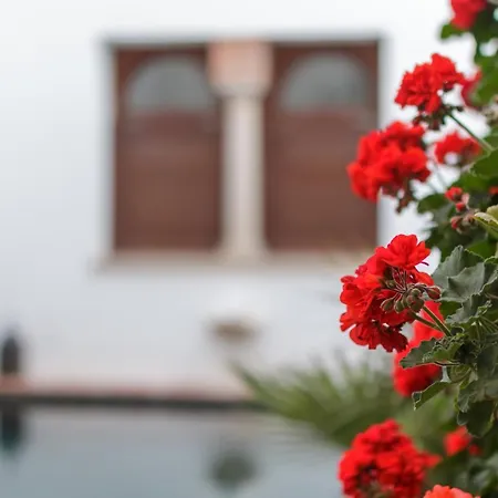 Apartasuites Alberca Deluxe